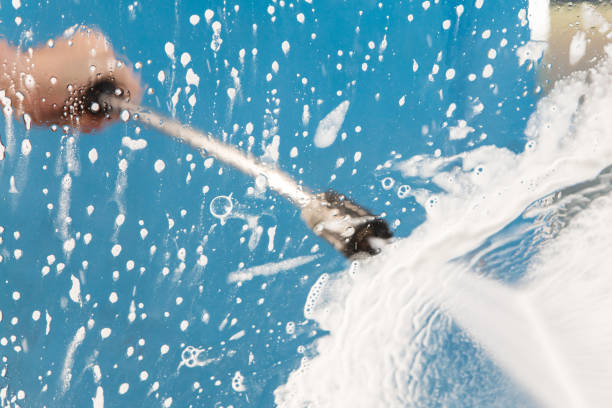 Best Animal Enclosure Cleaning  in Yale, MI