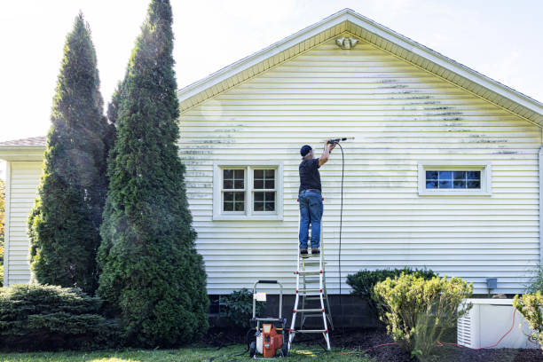 Best Roof Washing  in Yale, MI